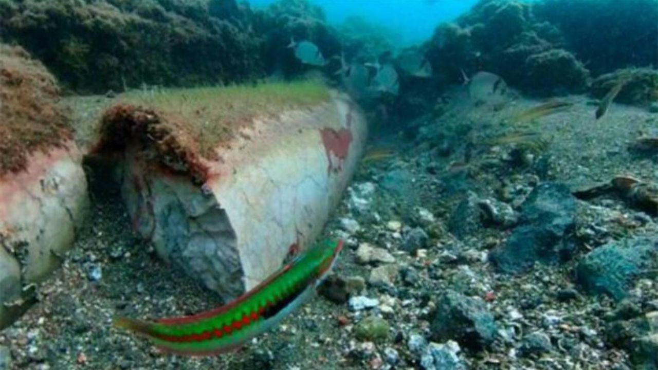 colonna subacquea a Baia 