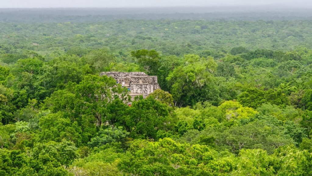 città Maya scoperta dopo esser rimasta nascosta 1.000 anni