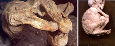 Mummie di Lemon Grove mistero corpi mummificati giovane madre e bambina