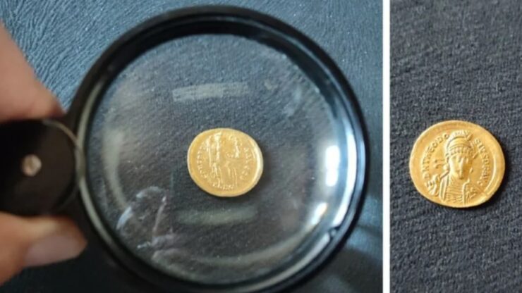 monete d'oro foto moneta