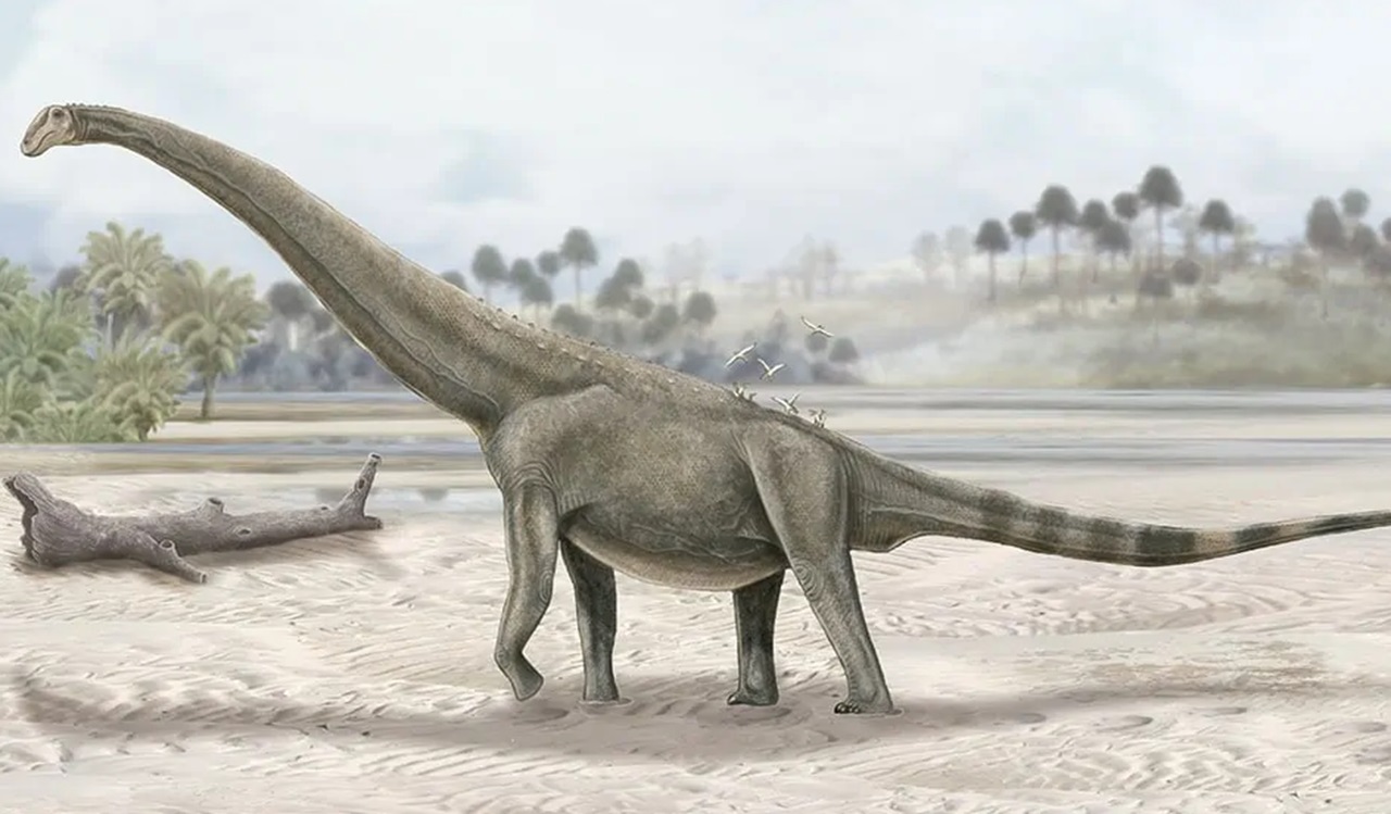 Montouliers esempio titanosauro