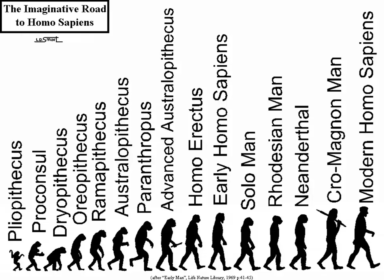 Neanderthal immagine evoluzione