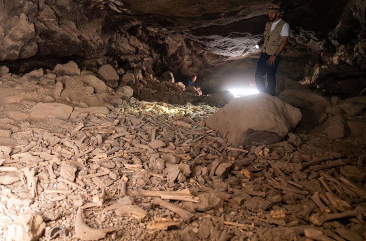 Umm Jirsan grotta lavica ossa umane e animali
