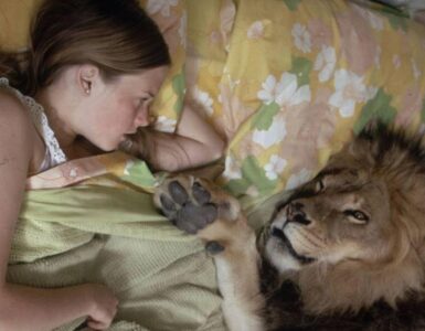 leone e bambina foto letto