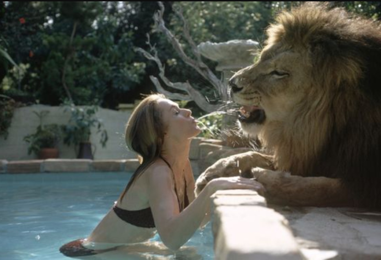 leone e bambina foto piscina