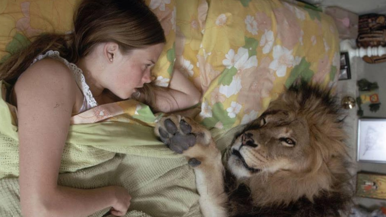 leone e bambina foto letto