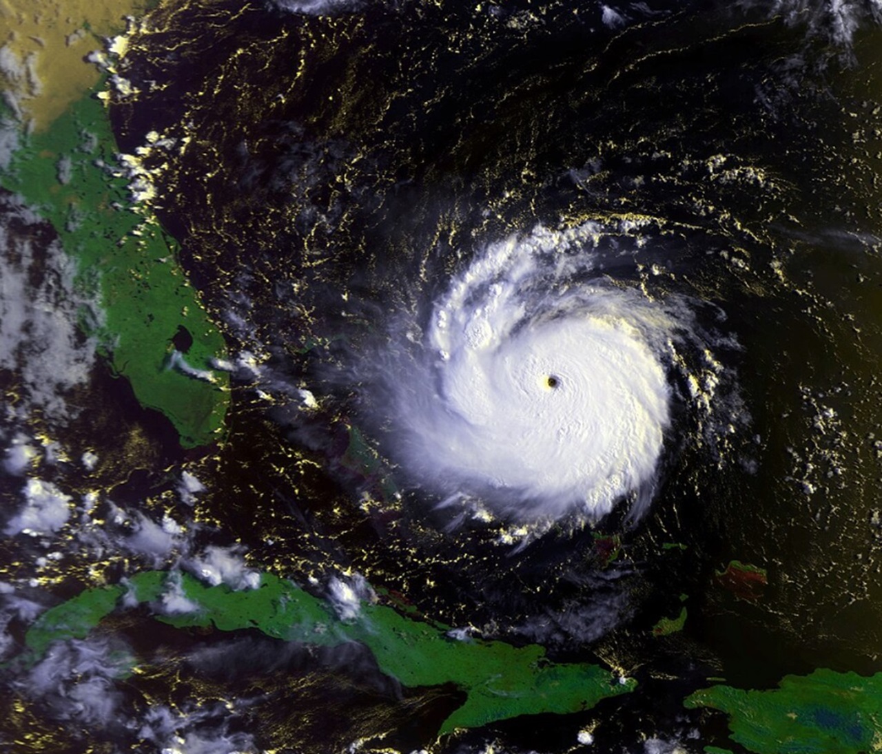 fenicotteri 1992 uragano si abbatte su Florida