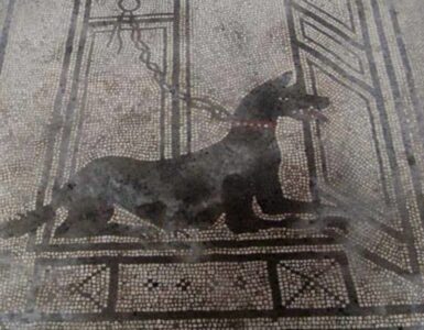 cane immagine mosaico romano