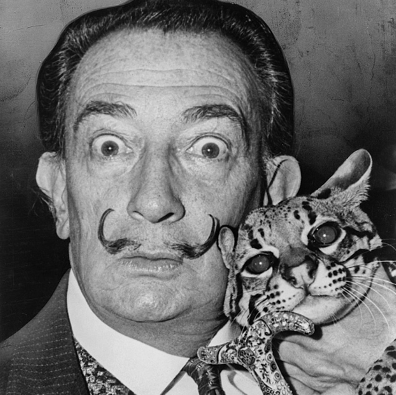 La persistenza della memoria Salvador Dalí con gatto