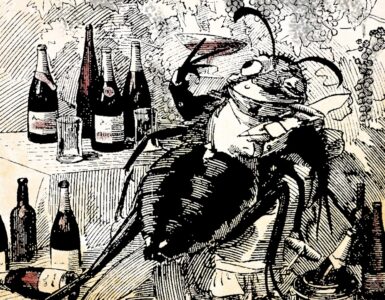 La Fillossera e la catastrofe del vino nell'Europa dell'Ottocento