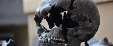 Yotzin immagine cranio
