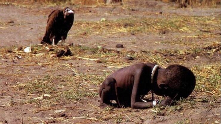 foto del giorno: il bambino e l'avvoltoio