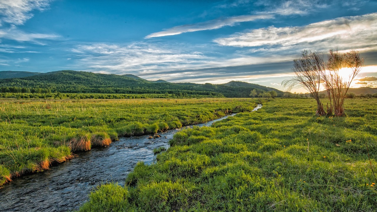 mongolia panorama