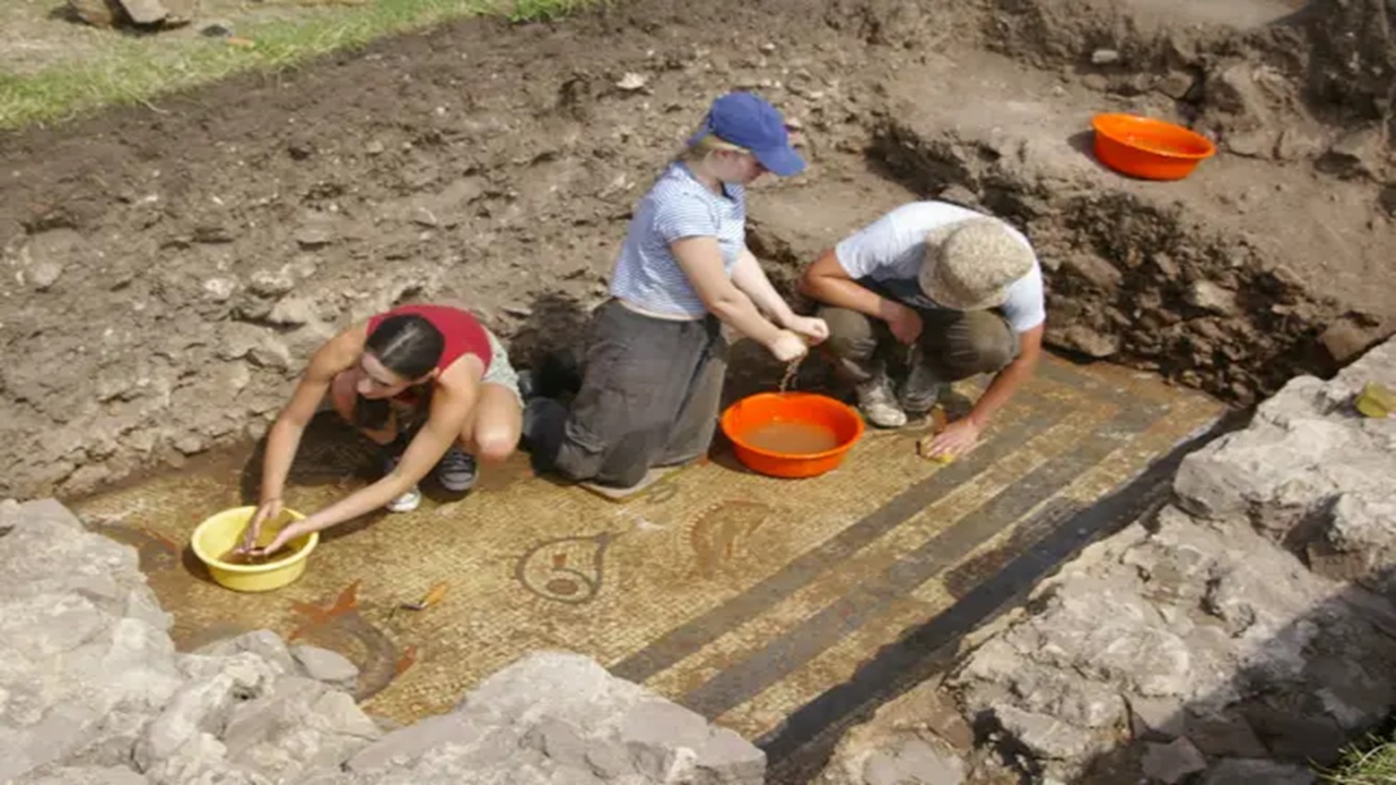 mosaico delfini archeologi