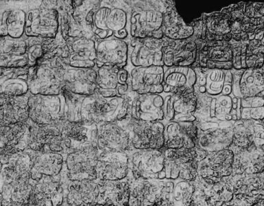 stele maya