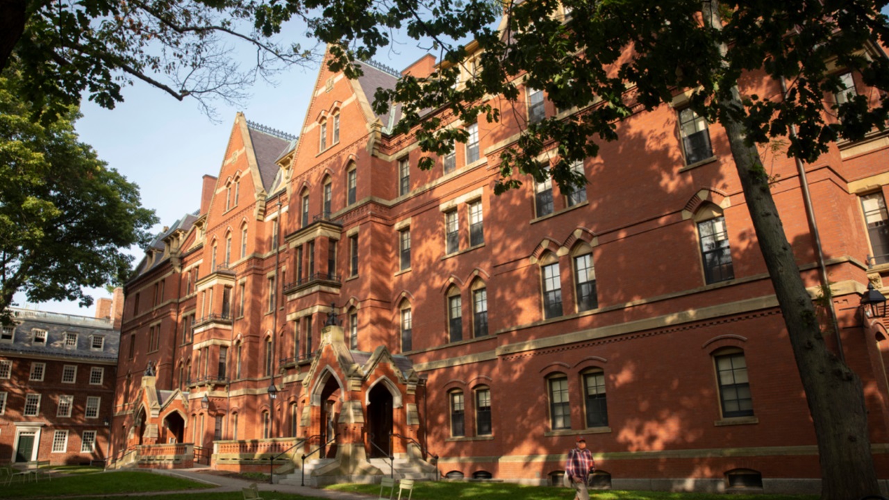 8 settembre foto Harvard