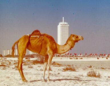 Foto del giorno: Dubai ieri, Dubai oggi