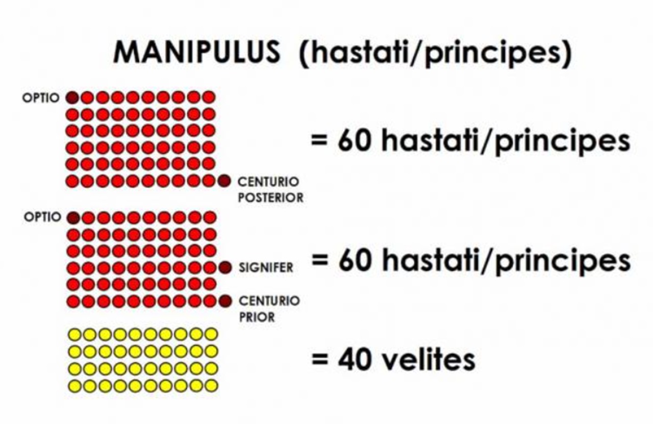 Centurione schema manipolo