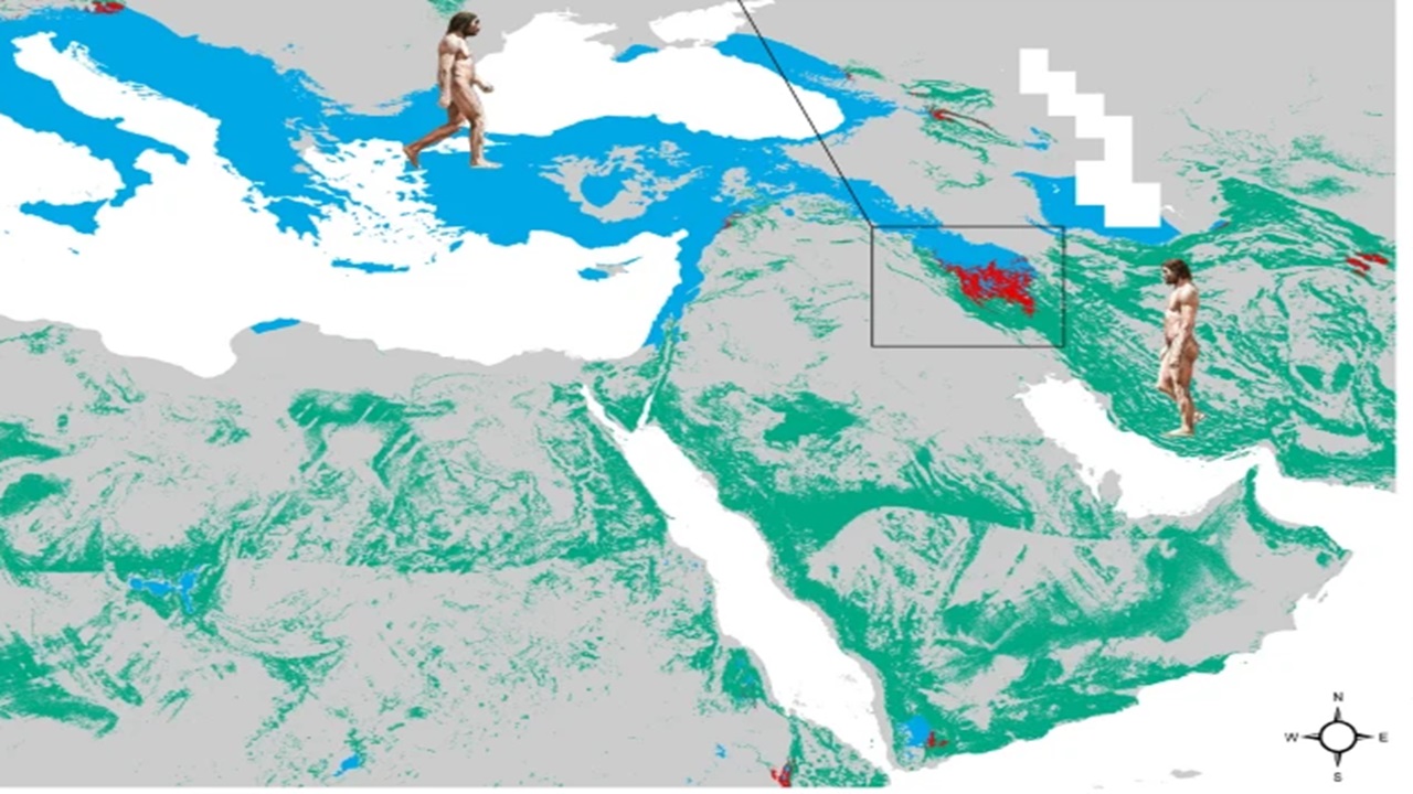 uomo neanderthal