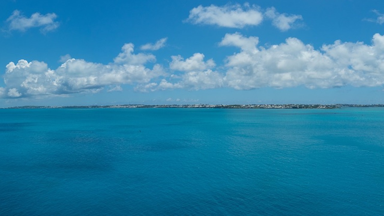 bermuda