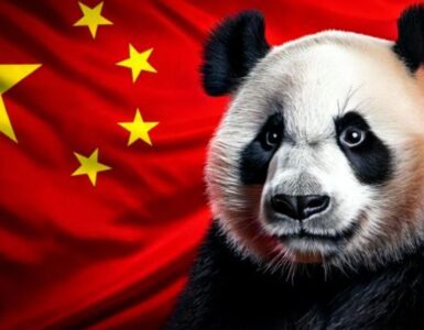 Diplomazia dei panda: l'arma segreta della Cina