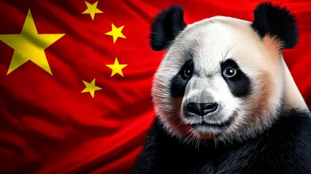 Diplomazia dei panda: l'arma segreta della Cina