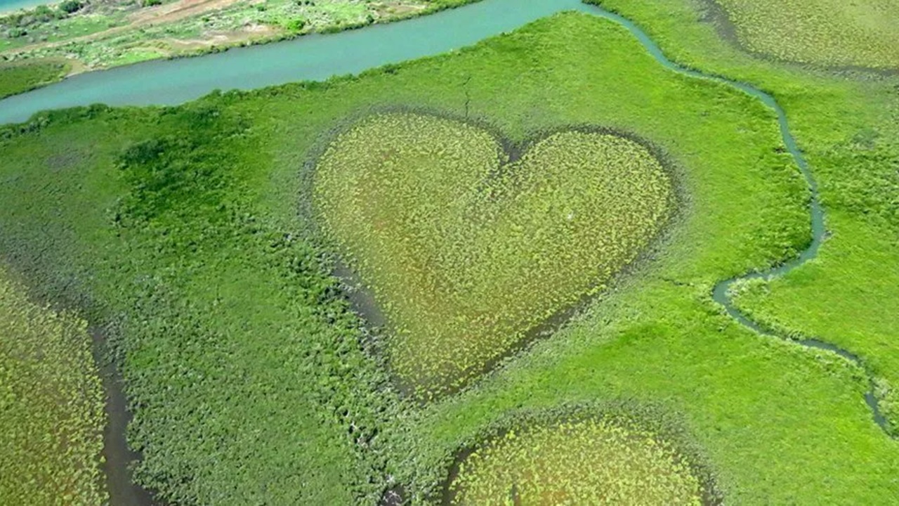 Cuore di Voh foto