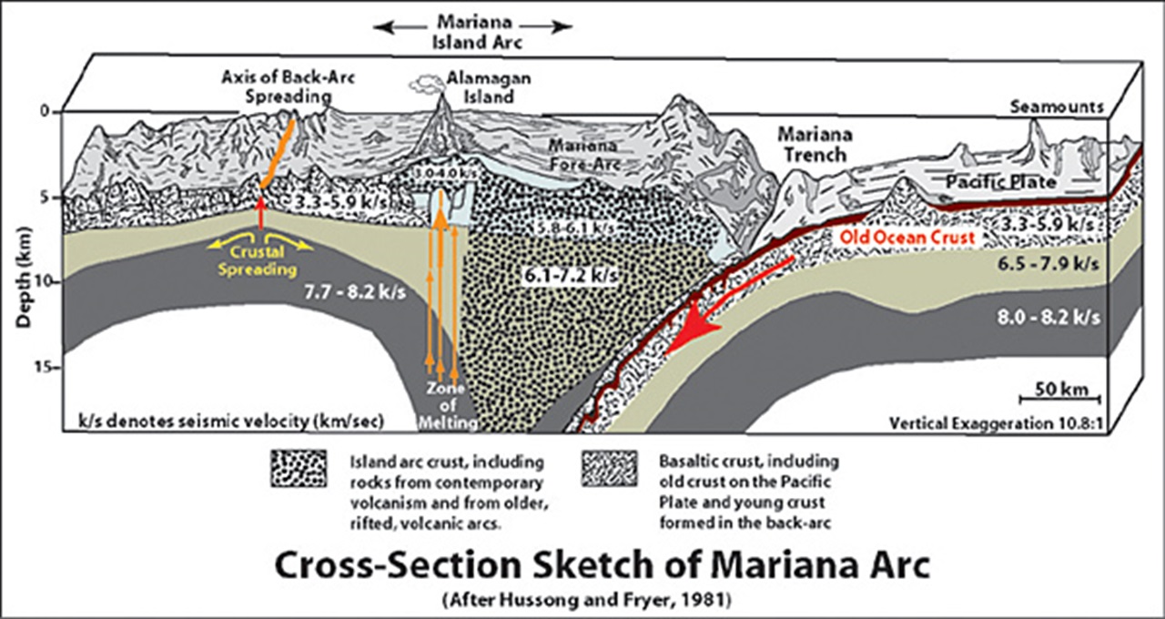 fossa marianne schema