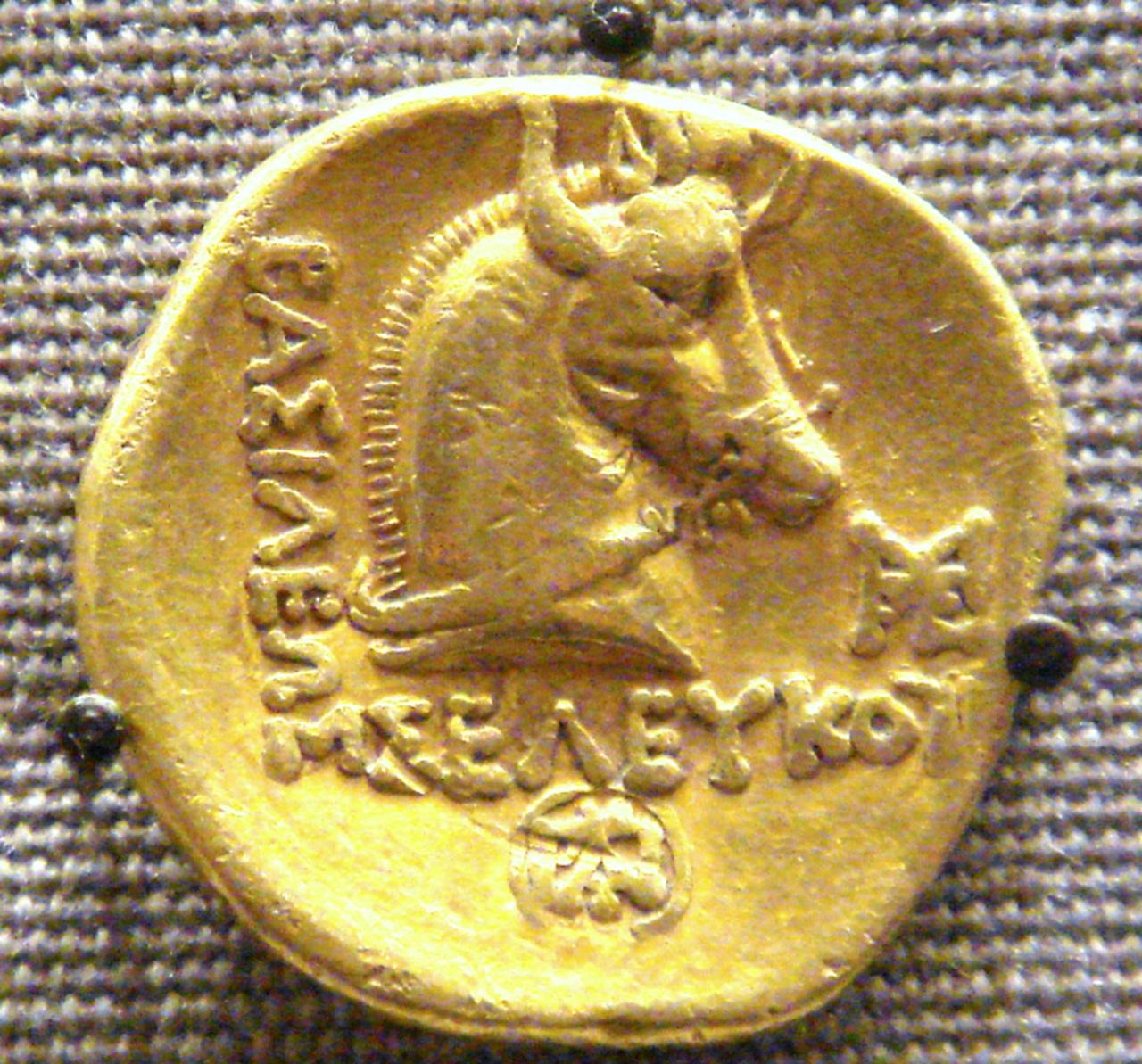 Bucefalo moneta d'oro ellenistica