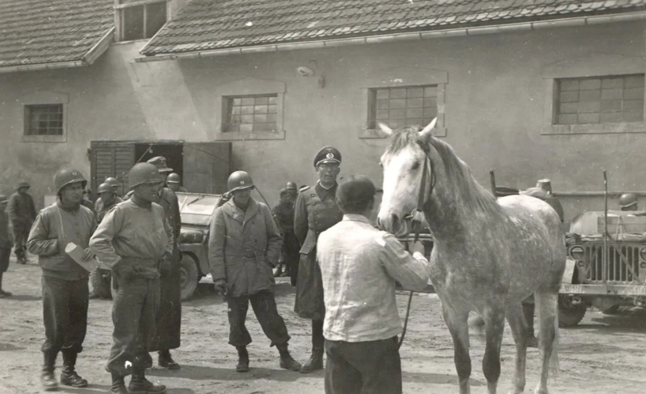 alleati americani e tedeschi 28 aprile 1945