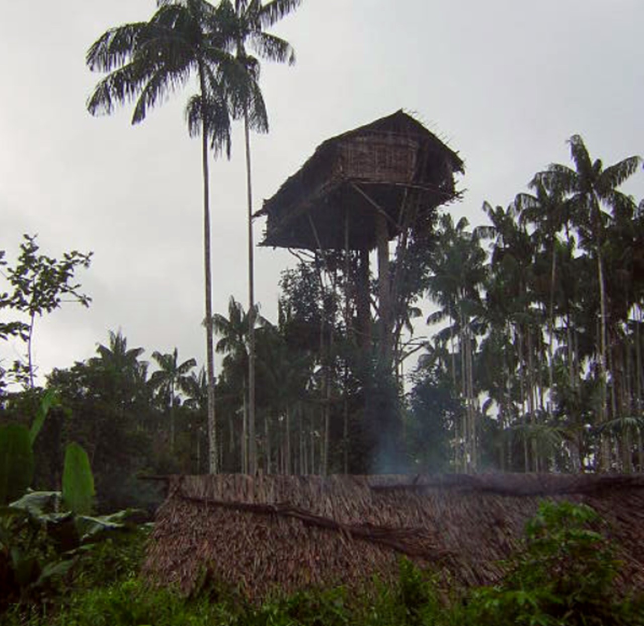 Korowai khaim