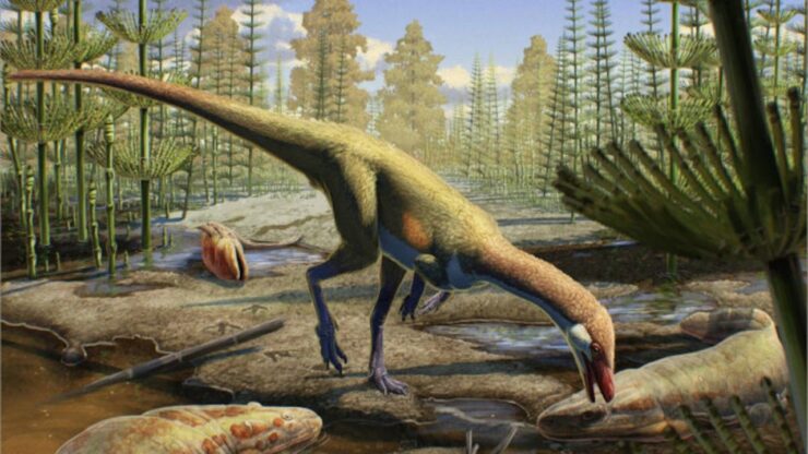 nuova specie dinosauro