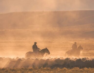 Gaucho: cavaliere errante della Pampa sudamericana