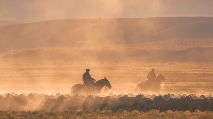 Gaucho: cavaliere errante della Pampa sudamericana