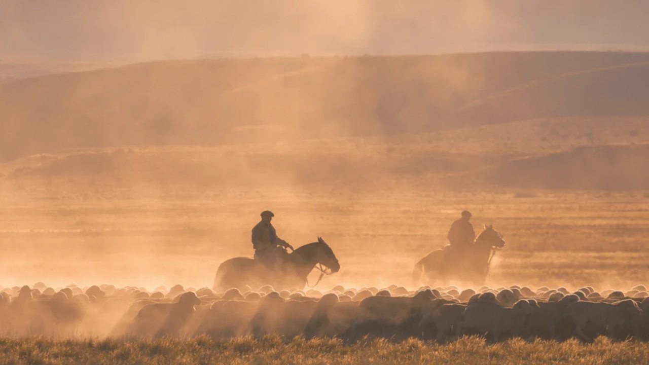 Gaucho: cavaliere errante della Pampa sudamericana